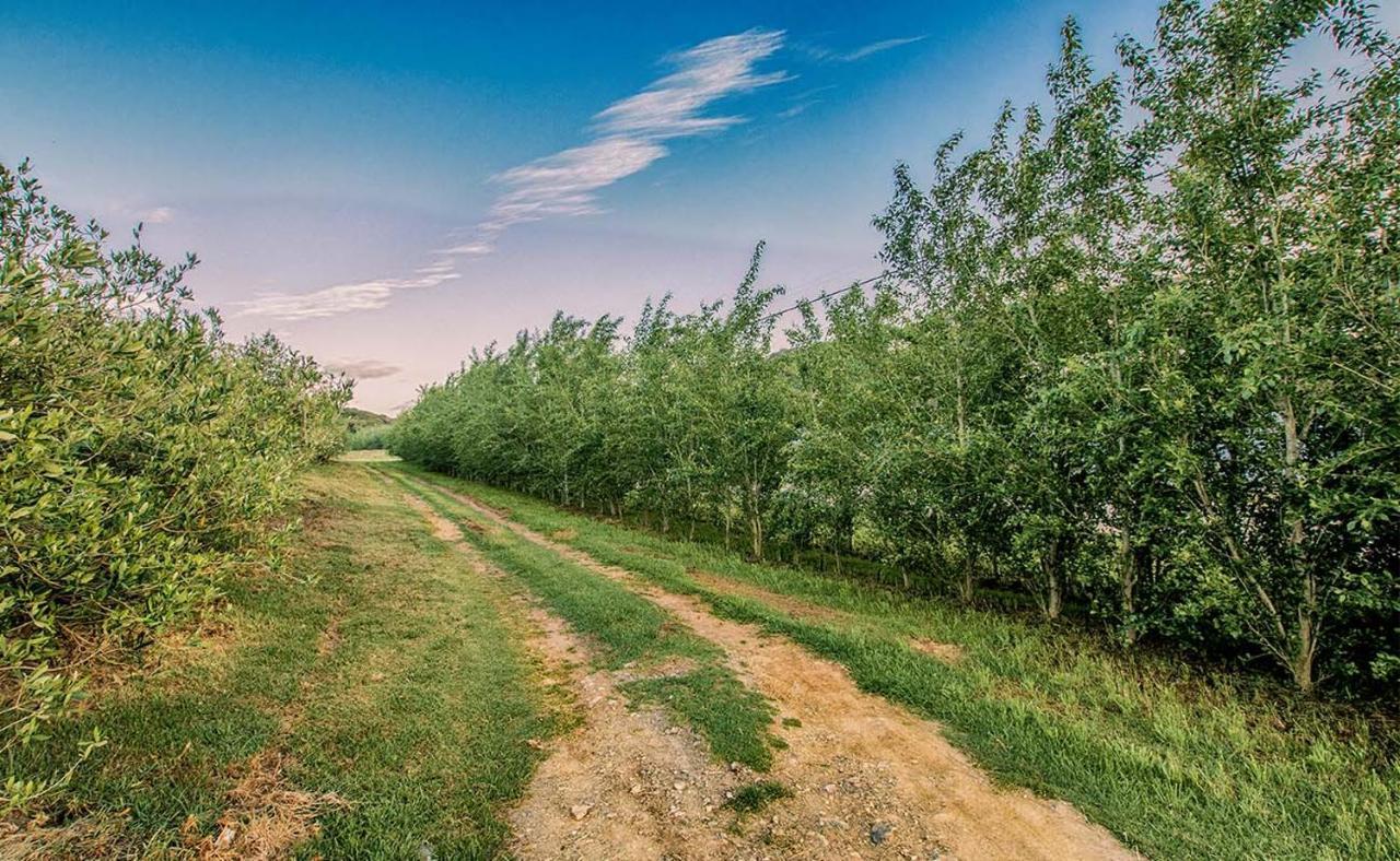 Willa Oudewerfskloof Olive Farm Stilbaai Zewnętrze zdjęcie